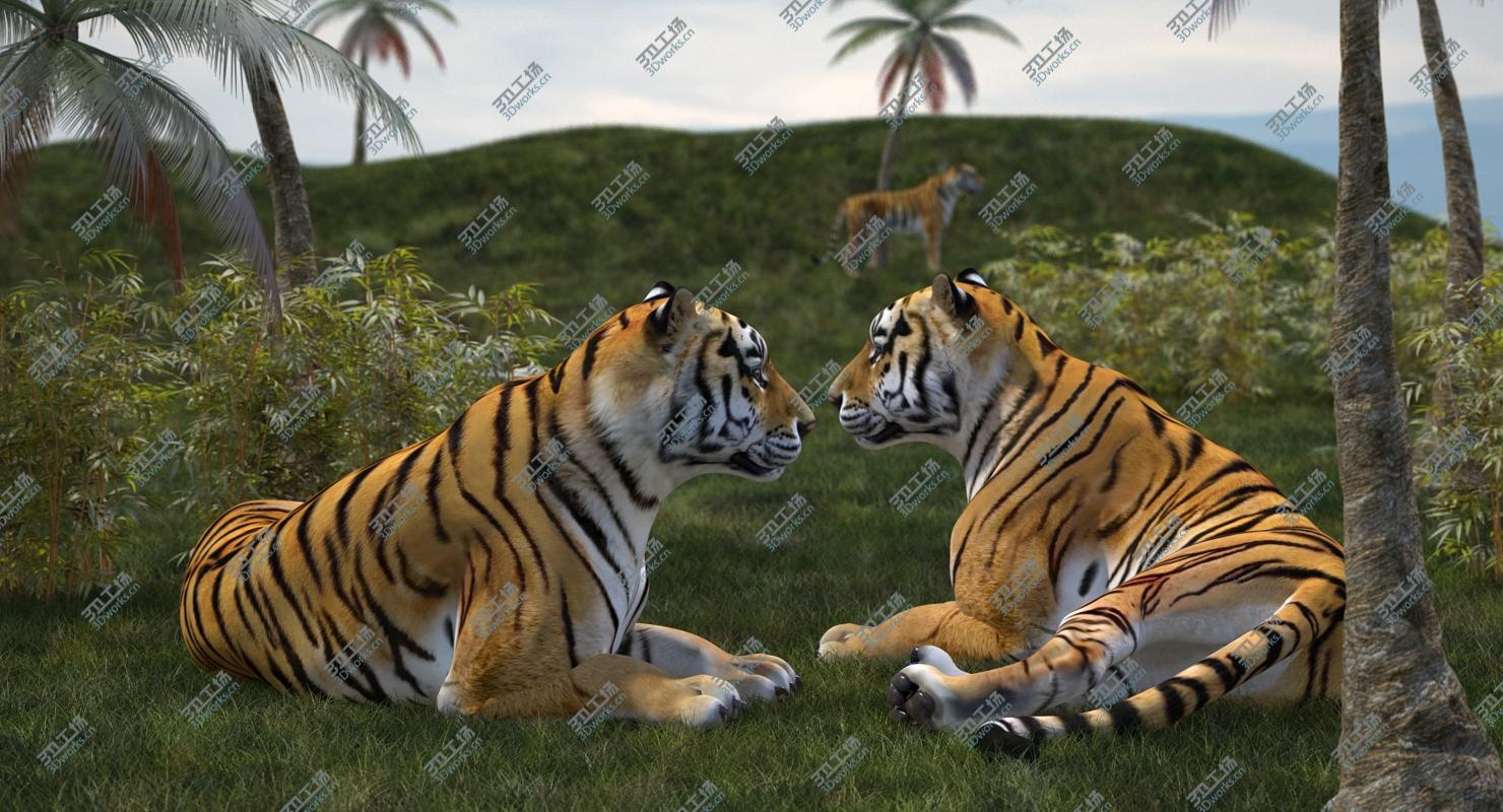 images/goods_img/202104021/3D model Lying Tiger/5.jpg